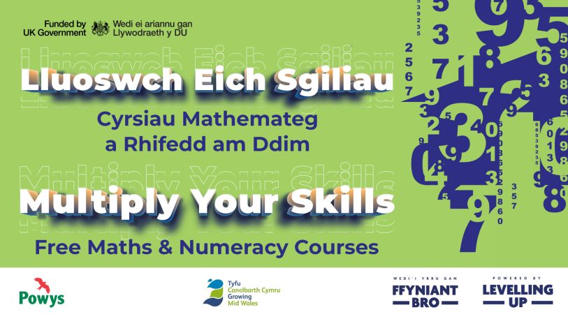 Green background with blue numbers and the title 'Multiply Your Skills' in Welsh and English, with partner logos across the footer and 'Funded by UK Government' in the header.